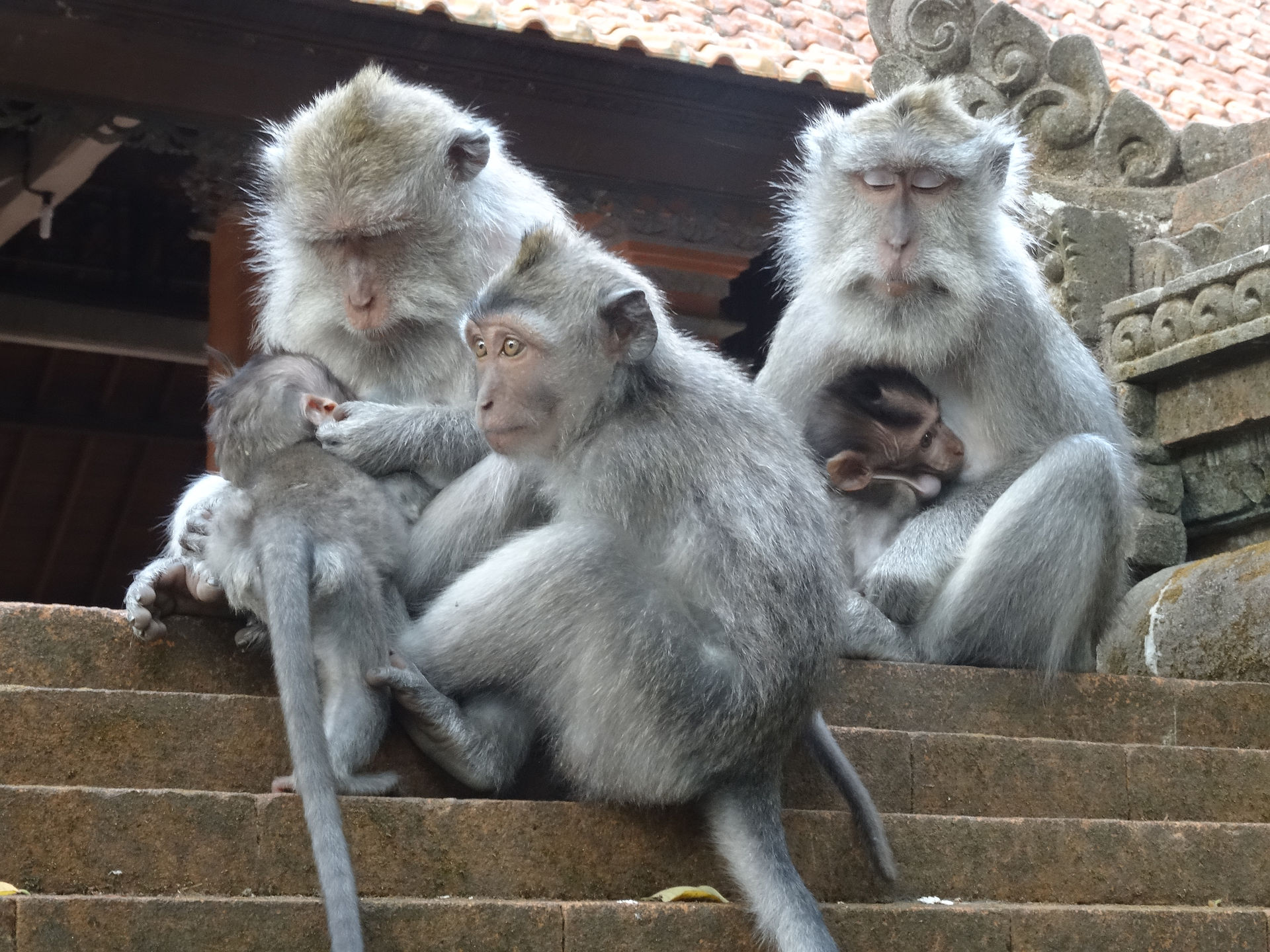 Ubud, Bali