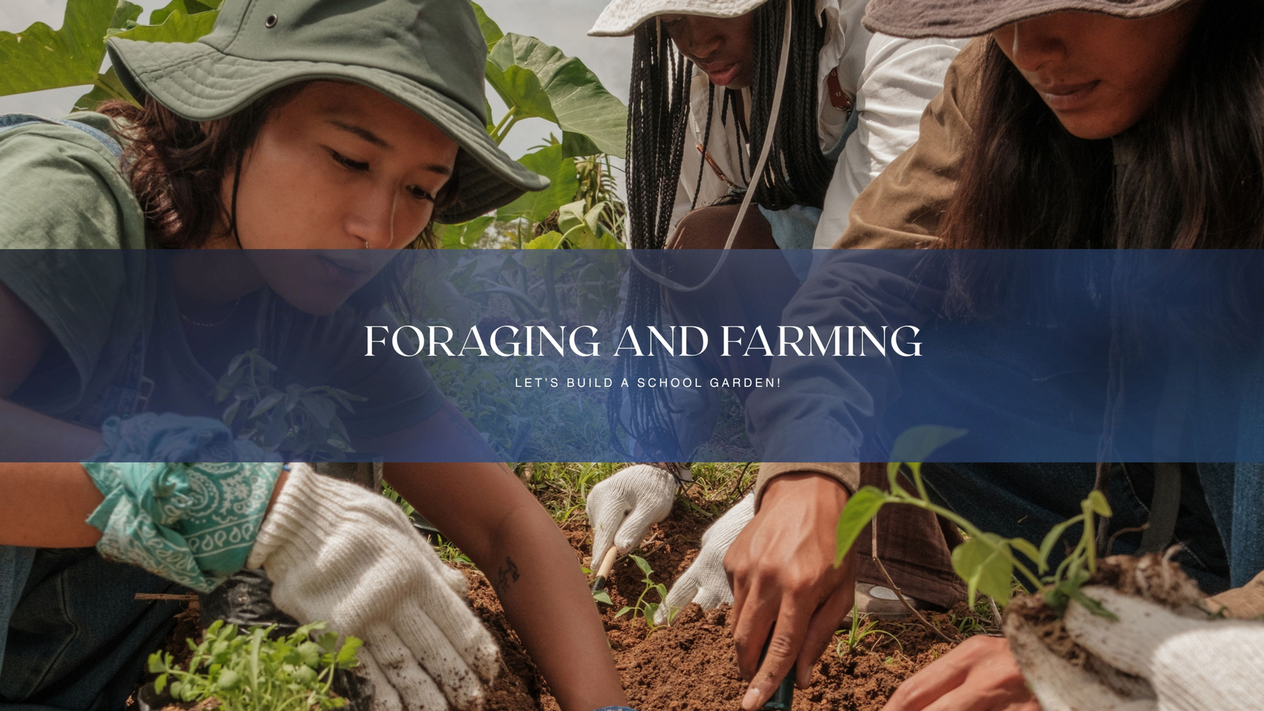 The School Garden Educator's Toolkit Downloadable