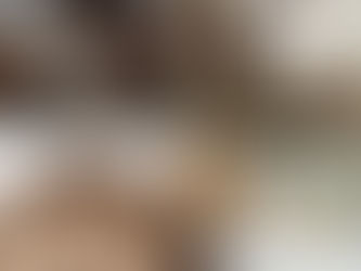 Mushroom Farming: 3 Farms Navigating The Future of Fungi