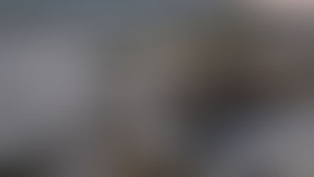 Kelp Farming  - A Whole New Generation of Foragers