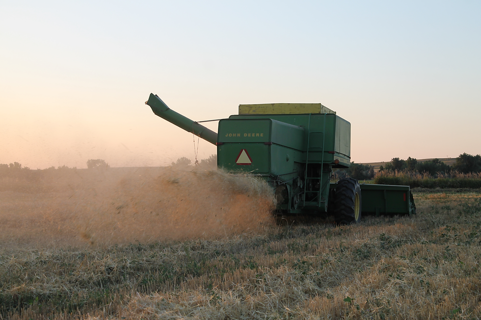 Belle Valley Ancient Grains