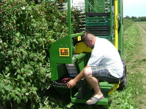 Food Facts: Automated Berry Harvesting and Packing Technology 