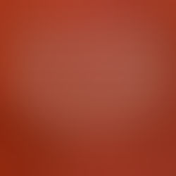 "Christ lives in me"