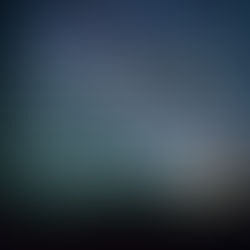 "Envy not the ungodly"