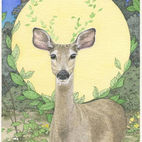 deer_messenger.jpg