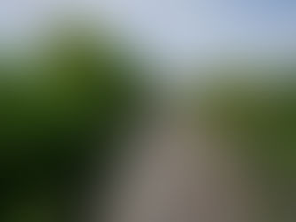 ICE in voller Fahrt auf einem Gleis mit viel Grün drumherum.