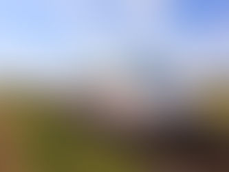 Ein ICE auf freier Strecke zwischen zwei Feldern.