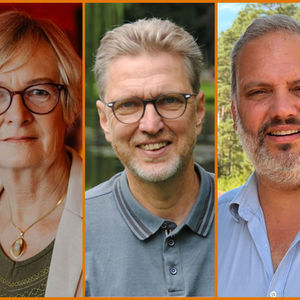 Collage aus Fotos von Karin Abenhausen, Olaf Schauer und Thomas Wamser.