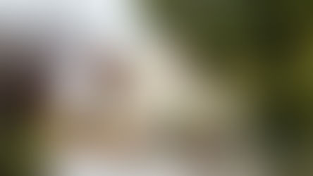 Getrudenkirche in Altencelle