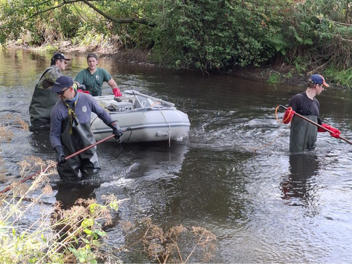 Vier Angler mit Keschern und Boot in einem Gewässer.