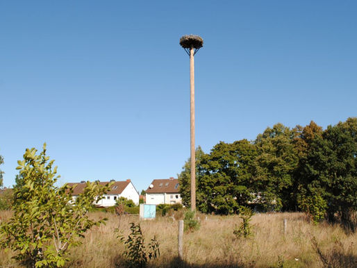 Darum mag der Storch Klein Hehlen nicht