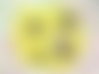 Karte vom Evakuierungsgebiet mit Fotos und Markierungen betroffener Unternehmen.