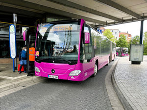 Zwei pinke Busse an einer Haltestelle.