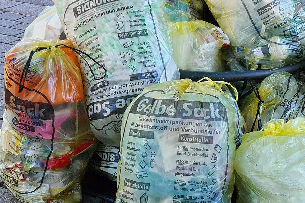 Ein Haufen gelber Säcke an einem Baum.