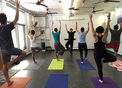 GivebackyogaTreepose2016.JPG