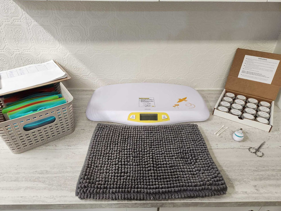 cjm-puppies-about-9-1920x1440