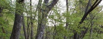 5月3-4日キャンプ