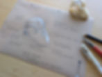 Fossils and Skulls - Nature Journaling Workshop!