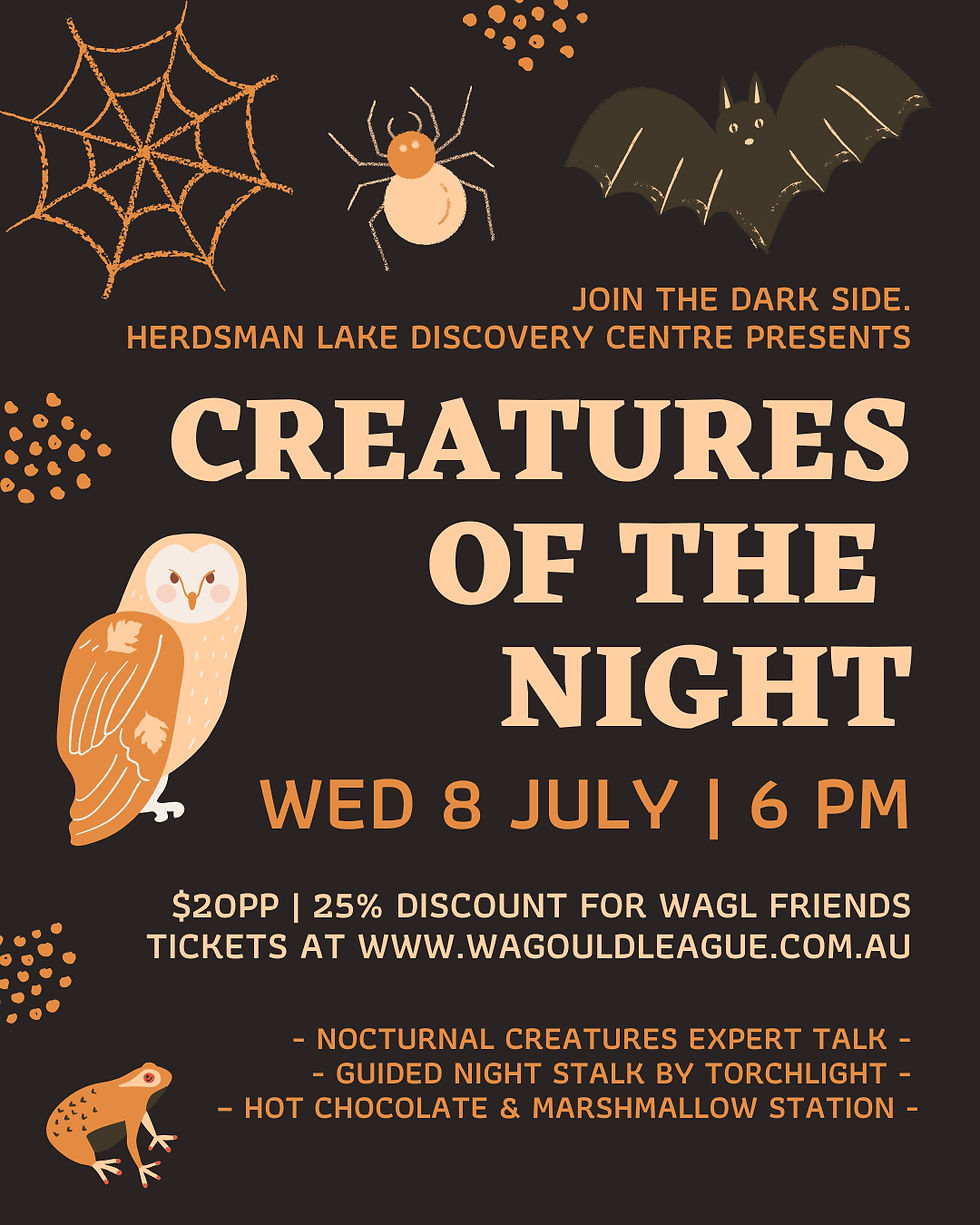 Creatures of the Night - Night Stalk & Talk