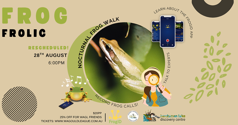 Frog Frolic - Nocturnal Walk *Re-scheduled*