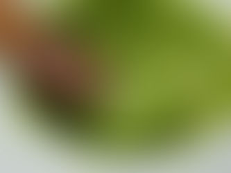 Not JUST a cooking class in Cinque Terre