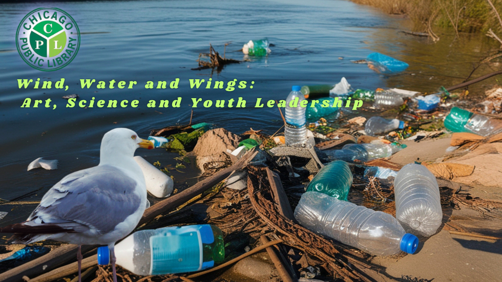 Wind, Water and Wings: Art, Science and Youth Leadership on Lake Michigan