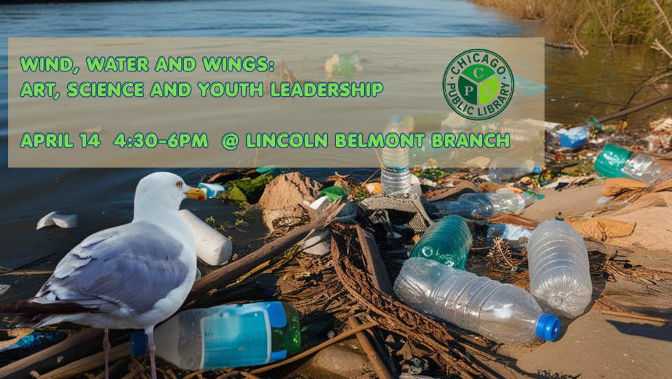 Wind, Water and Wings: Art, Science and Youth Leadership on Lake Michigan