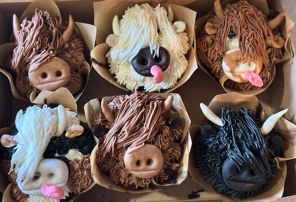Highland cow cupcake class