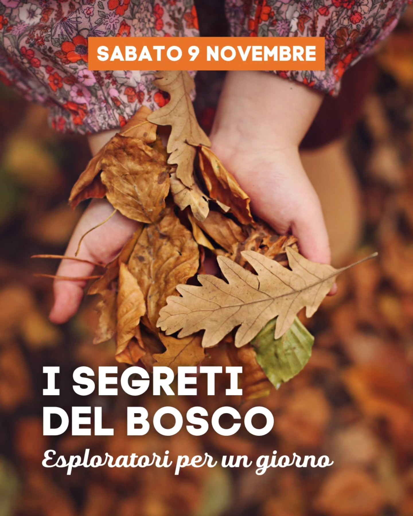 I segreti del bosco - esploratori per un giorno