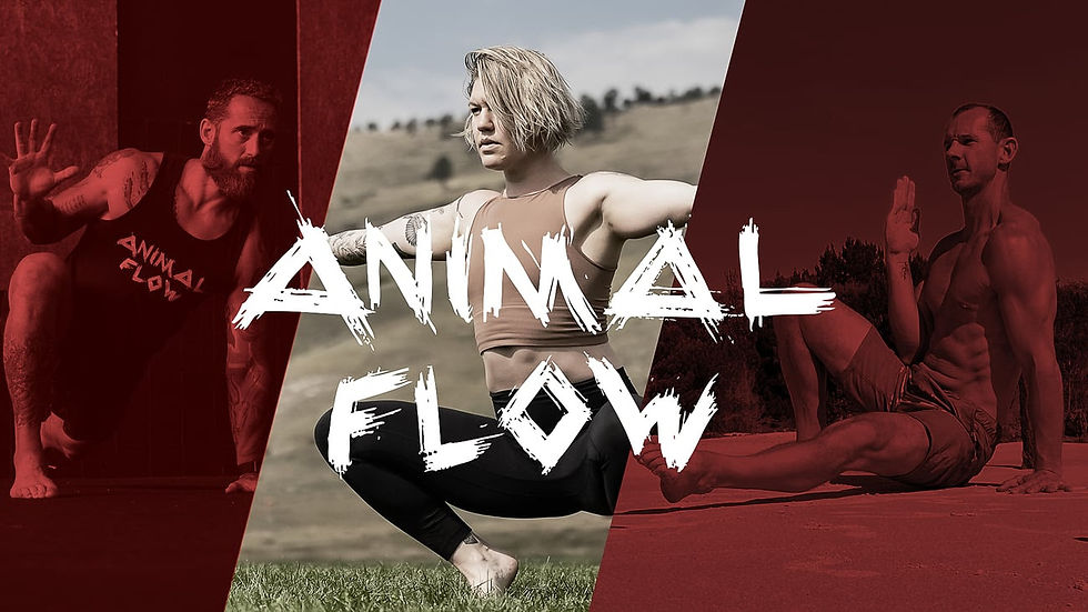 Atelier Animal Flow à Lyon