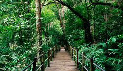 Gunung Nuang, Hulu Langat Selangor