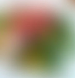 Broiled Pineapple, Avocado and Arugula Salad with Prosciutto Wrapped Mahi-Mahi