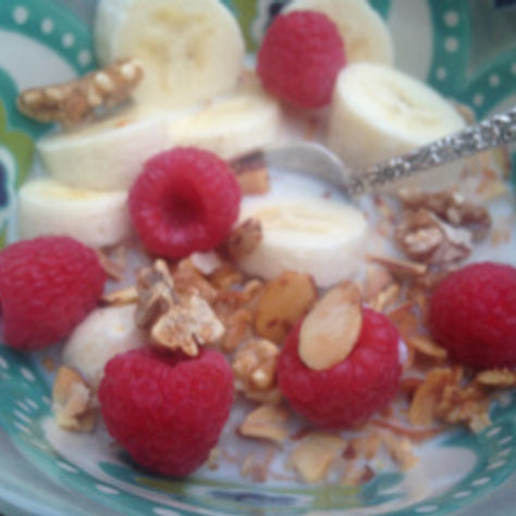 Almond Coconut Granola