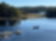 D0738A8B-7385-422B-8314-0AF9749AC5D3_edited.jpg