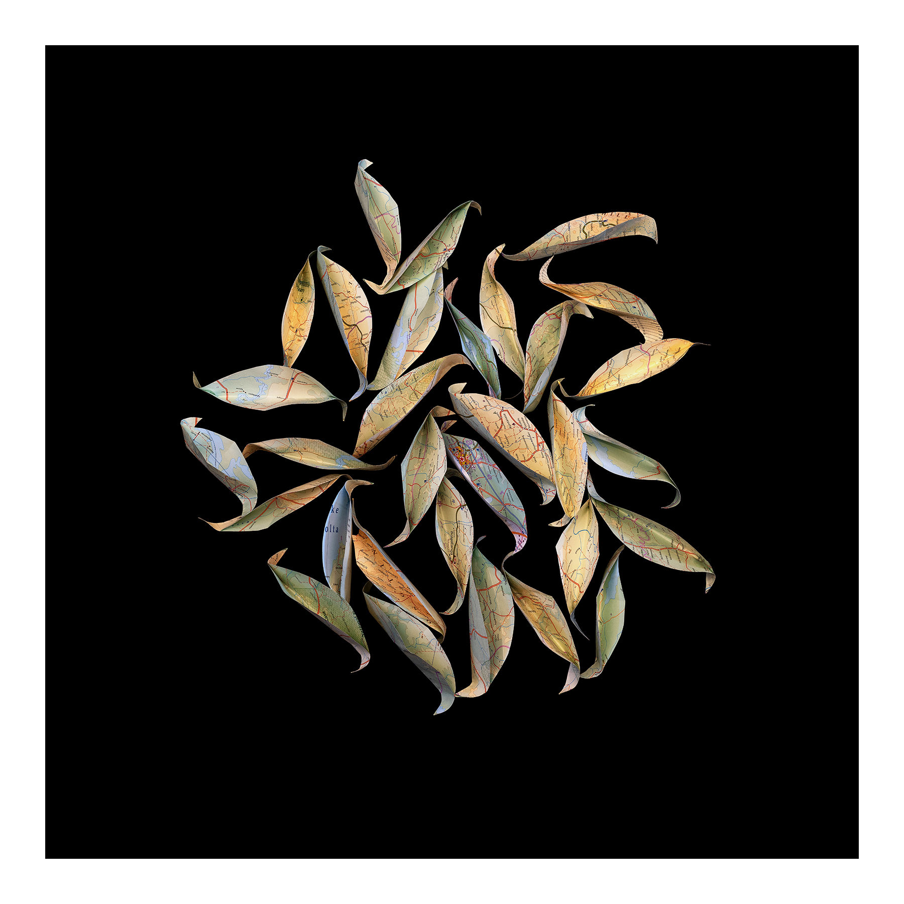 Ghana: Felled Leaves