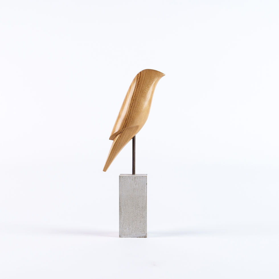 Thumbnail: Bird  #8