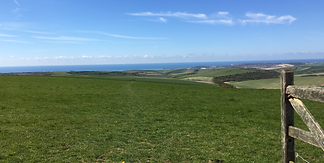 South+Downs+gate+view+of+the+sea.png