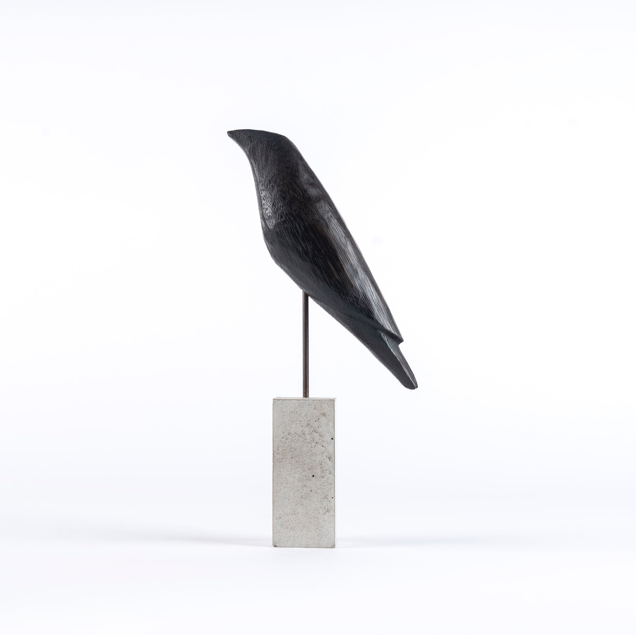 Crow #2