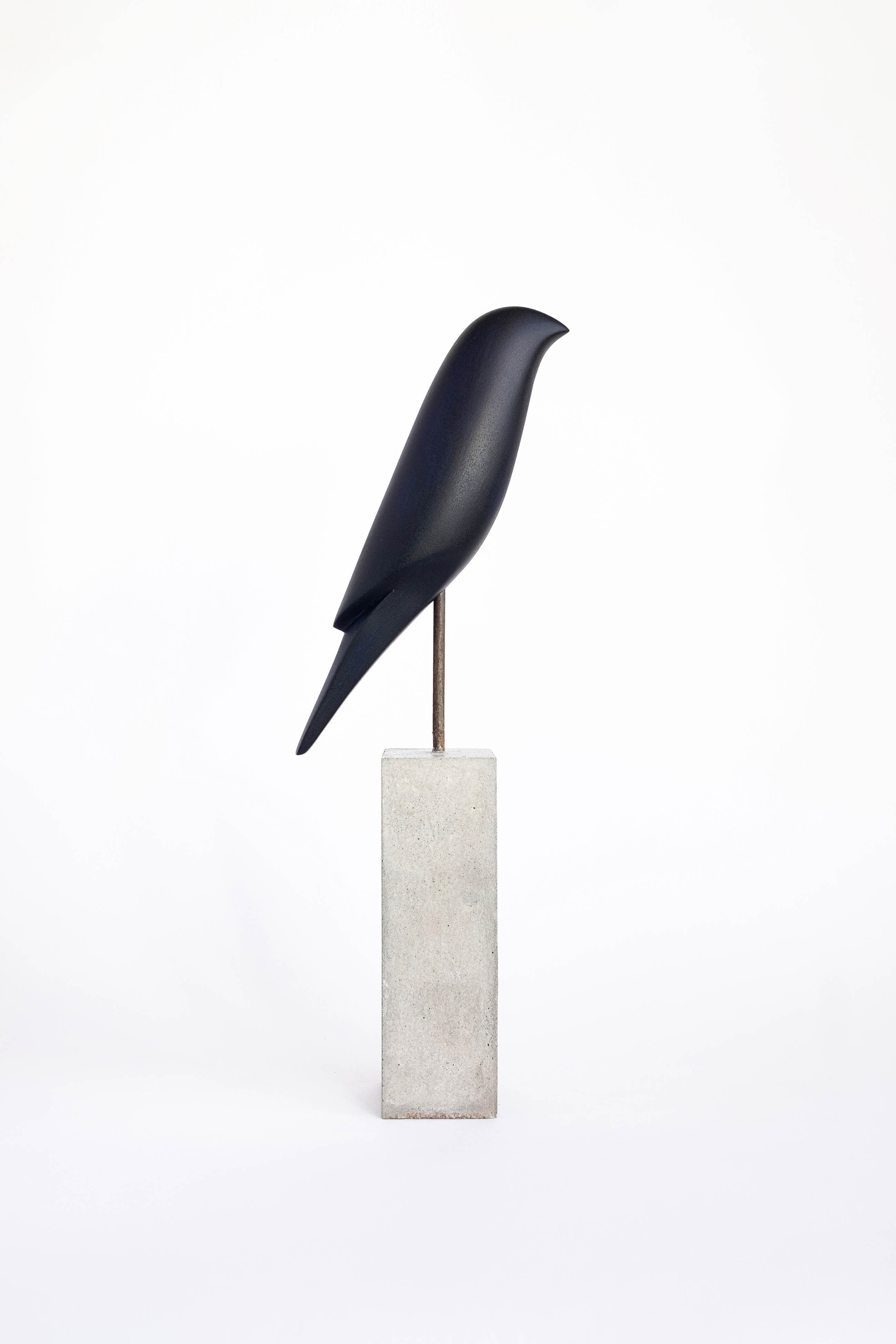 Bird #16