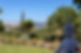 Yoga garden retreats