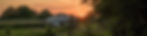 T.Y_edited.jpg