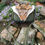 Thumbnail: Coyote Purse