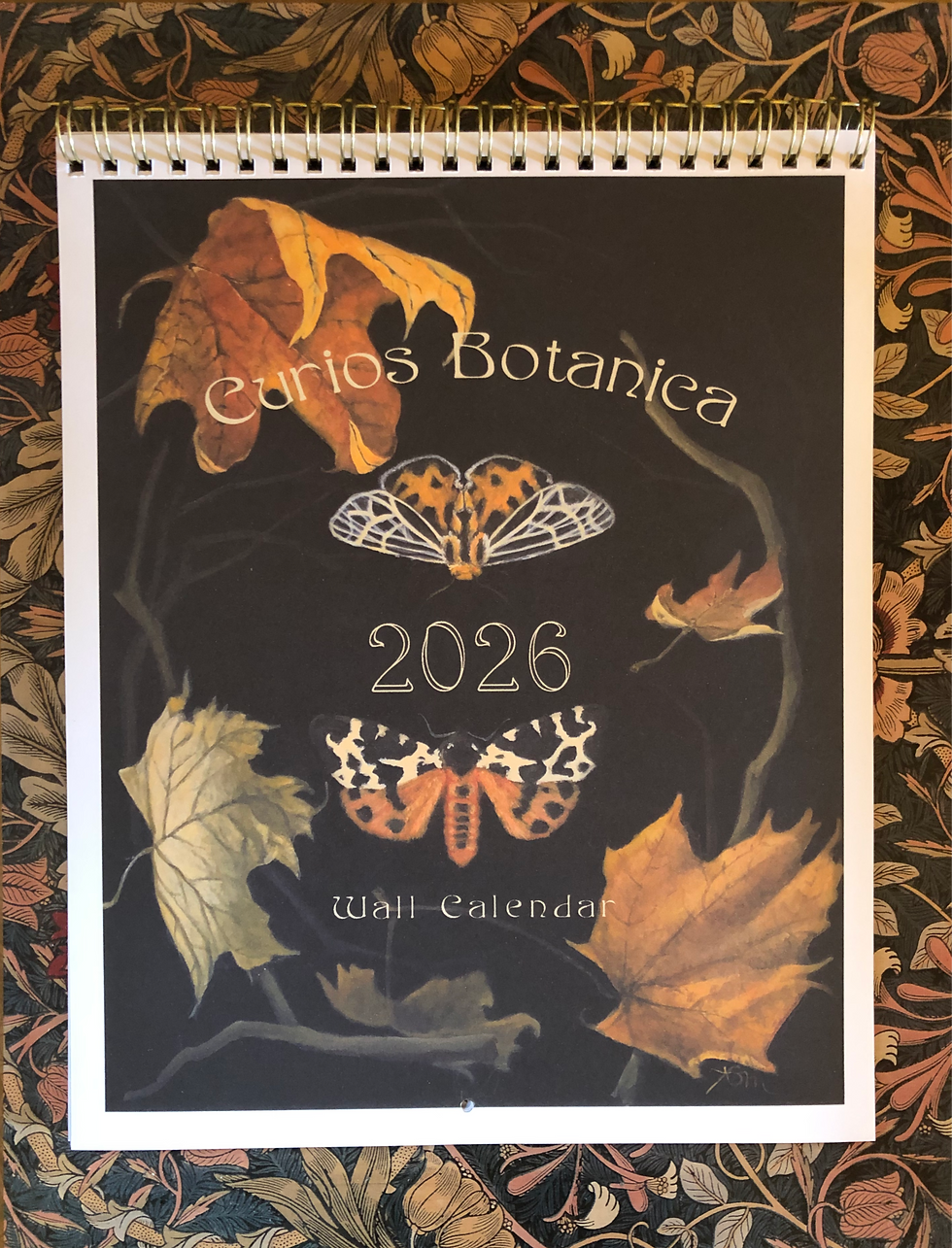 Curios Botanica 2026 Wall Calendar