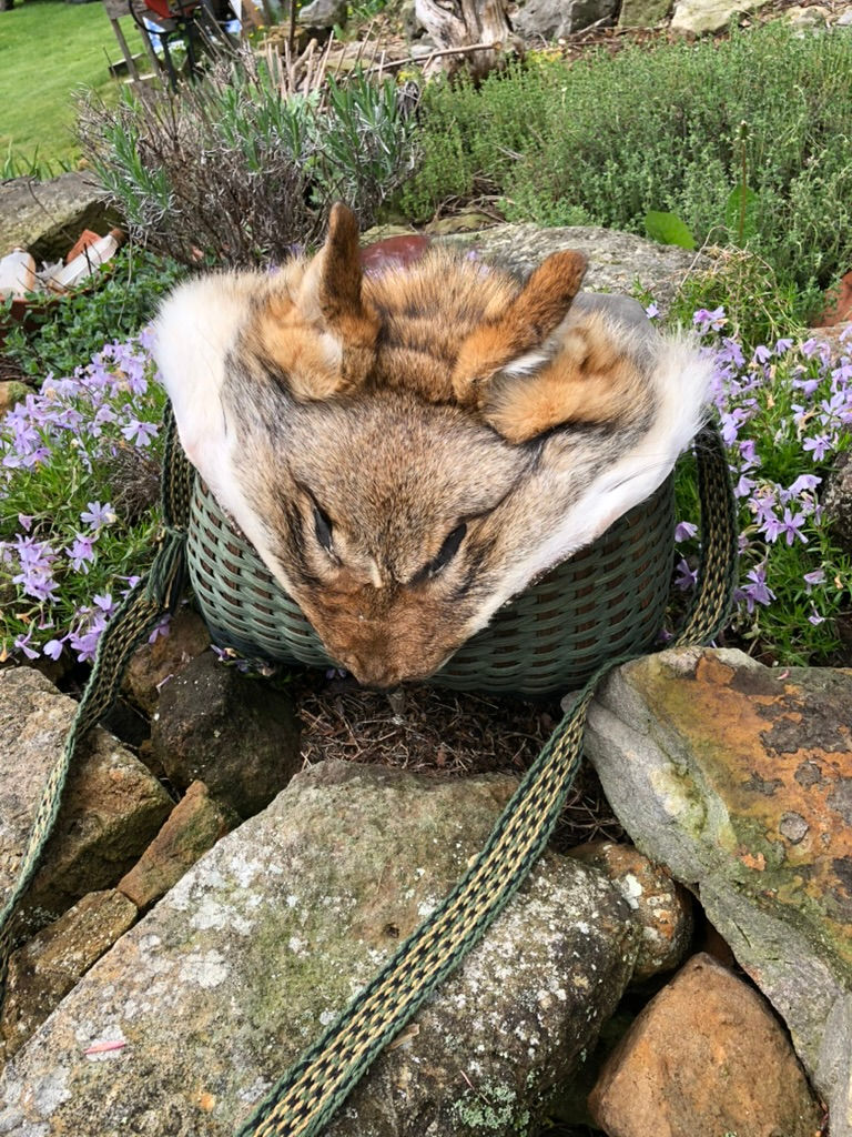 Thumbnail: Coyote Purse