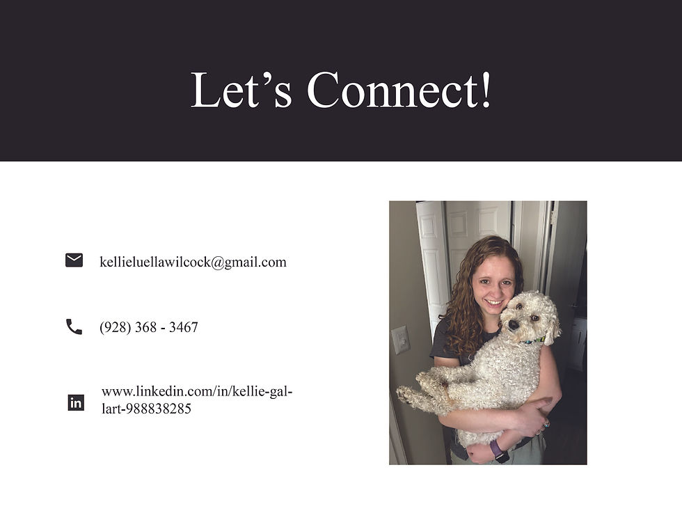 Ammon Website Case Study-22