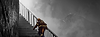 Niessen leer.png