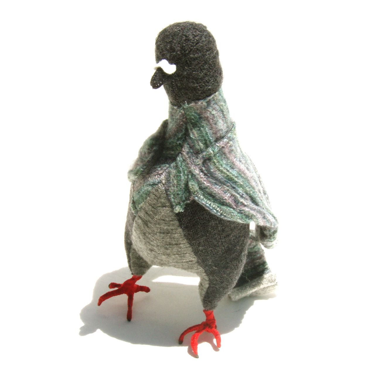 standing pigeon