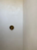 Venetian Plaster shower