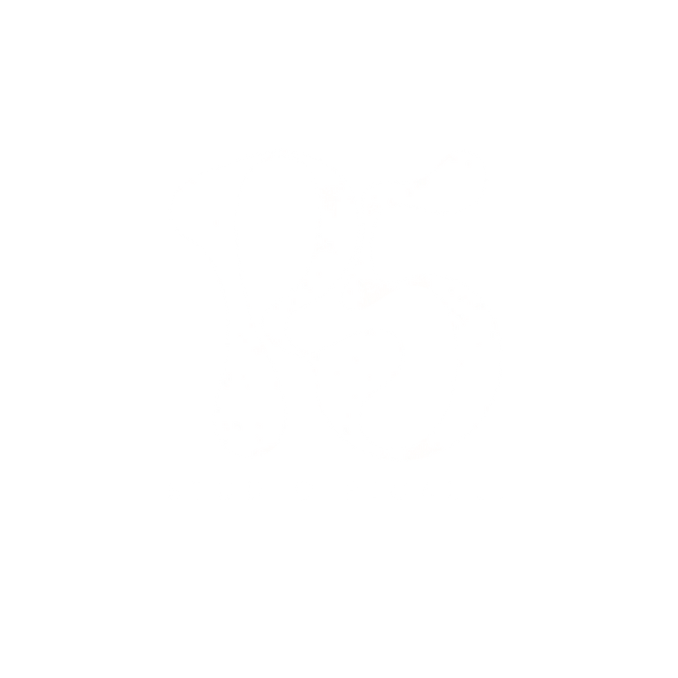 wit logo studio picauli.png