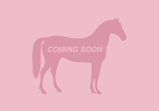 GP Coming soon .png